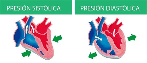Esquema explicativo de la presión sistólica y diastólica con un manómetro digital.