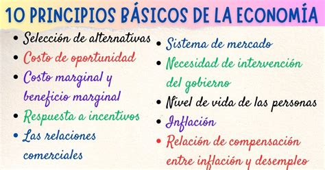 Esquema sobre los principios básicos de la atención inclusiva y el trato digno en servicios públicos y privados.