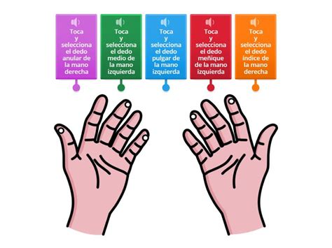 Diagrama comparando dedos lisos con dedos nudosos, destacando articulaciones