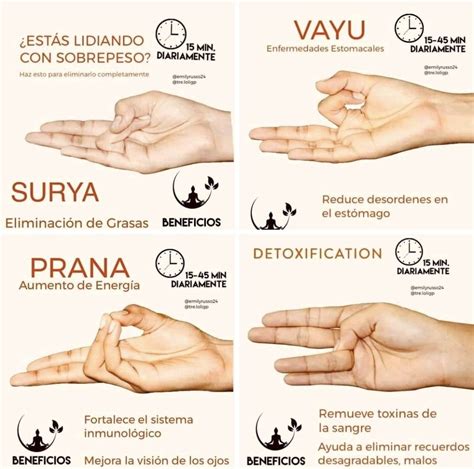 Diagrama del pulgar mostrando las dos secciones (voluntad y razón) y diferentes ángulos de apertura