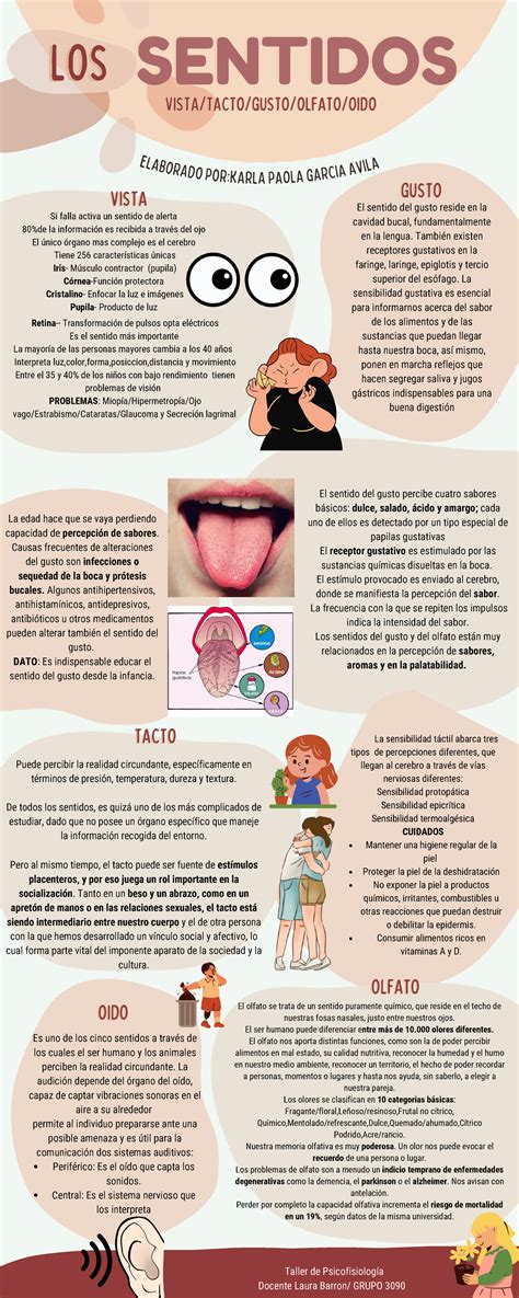 Infografía mostrando los cambios sensoriales (gusto, olfato) y físicos (dentadura) que afectan la alimentación en la vejez.