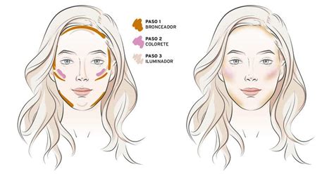 Esquema de aplicación de bronceador e iluminador para perfilar el rostro.