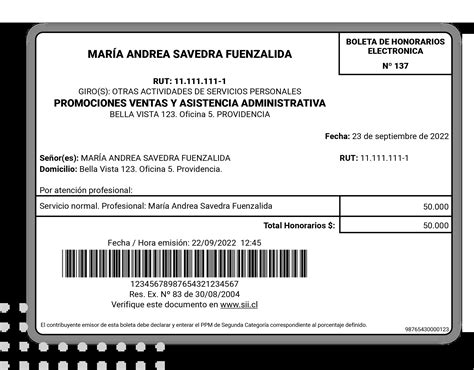Esquema que detalla la relación entre la emisión de boletas de honorarios y la cobertura del sistema previsional para pensionados.