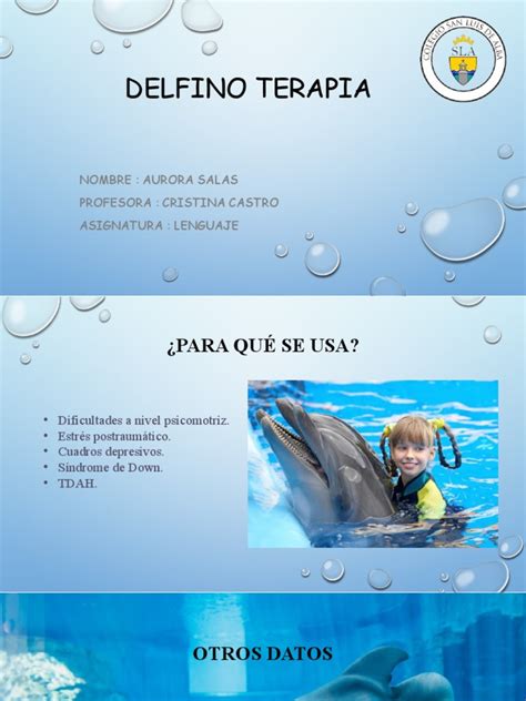 infografía sobre los beneficios de la delfinoterapia para pacientes con discapacidades