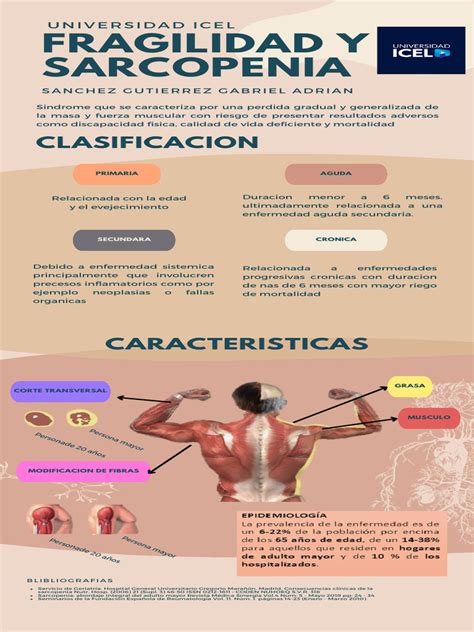 infografía sobre la sarcopenia y sus efectos en la masa muscular del adulto mayor