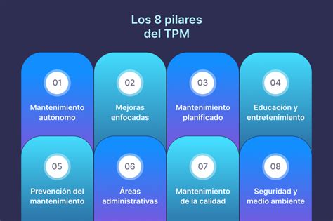 Esquema conceptual que ilustra los pilares del programa Adulto Mejor: bienestar, salud mental, participación laboral y ciudades amigables.