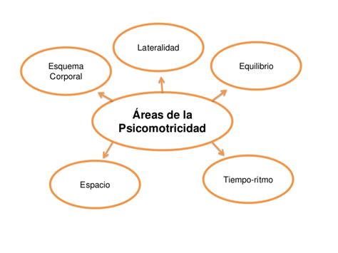 Esquema de las áreas de la psicomotricidad y su interconexión