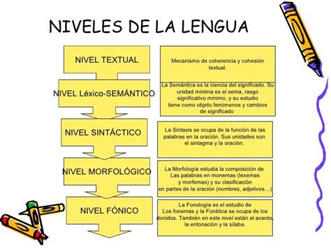 Esquema sobre los niveles del lenguaje: semántico, pragmático, fonológico y morfosintáctico.