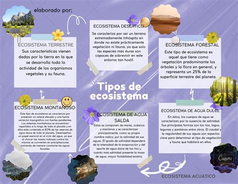 Esquema gráfico sobre los componentes de la identidad