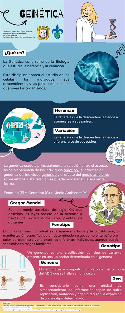 Infografía detallando la herencia genética de los abuelos a los nietos