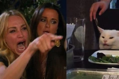 Montaje del meme de la mujer gritando a un gato, mostrando a Taylor Armstrong y a Smudge Lord
