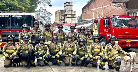 Foto temática sobre la uniformidad y presentación del personal de bomberos o de prevención de riesgos