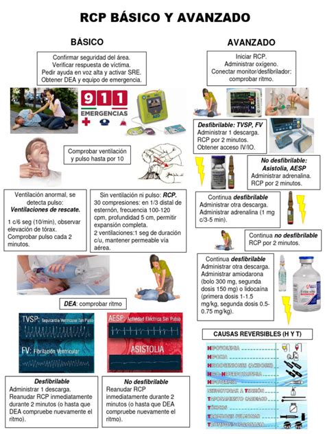 Infografía que detalla los requisitos y la progresión de los niveles Básico, Avanzado 1 e Introducción en PRÓ-VIDA