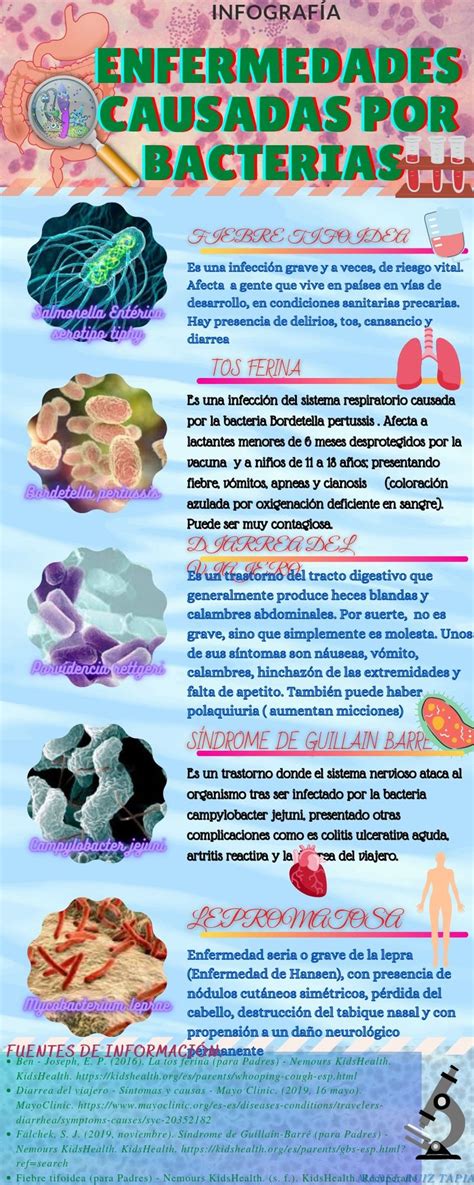 Infografía: Causas bacterianas comunes de ITU
