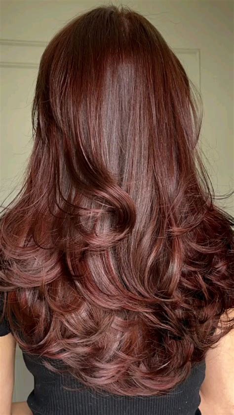 Primer plano de cabello caoba con sutiles reflejos rojizos que añaden dimensión