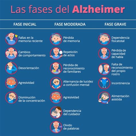 Esquema de las etapas del Alzheimer y sus síntomas