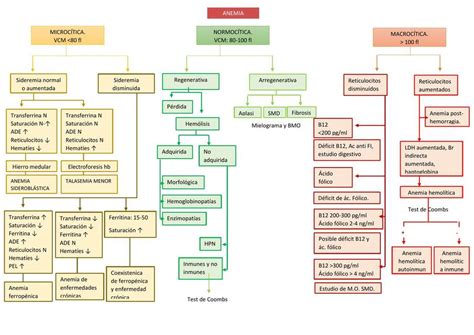 Diagrama de flujo: Clasificación de las causas de anemia en adultos mayores