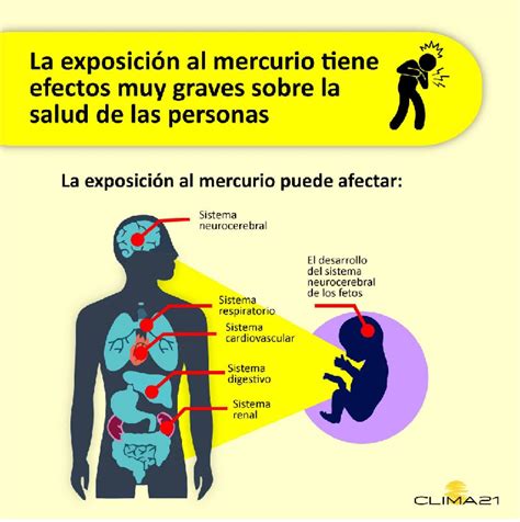 Gráfico comparativo de la exposición al mercurio de diferentes fuentes, incluyendo amalgamas dentales, pescado y emisiones industriales.