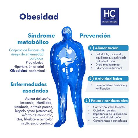 Diagrama mostrando las diferentes complicaciones de salud asociadas a la obesidad en personas mayores.