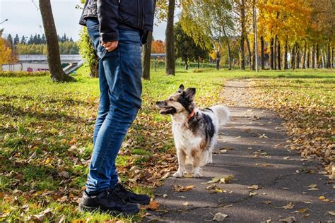 Persona mayor caminando por un parque con un perro
