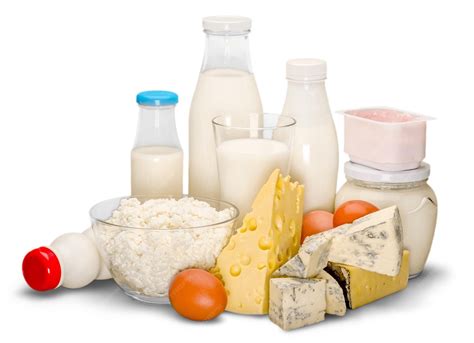 Foto: Variedad de productos lácteos saludables (leche, yogur, queso)