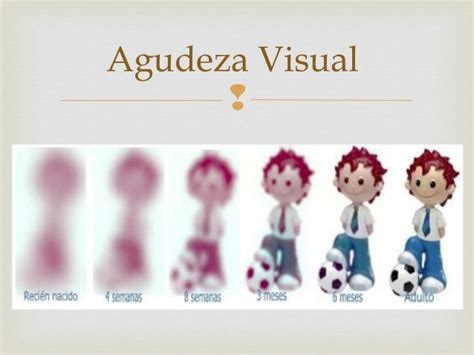 Diagrama: Comparación de agudeza y campo visual entre visión normal, ceguera legal y ceguera total