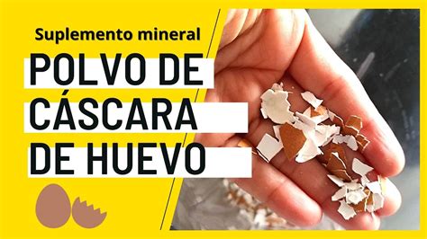 Polvo de cáscara de huevo finamente molido listo para su uso