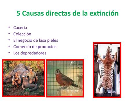 Iconos representando las causas de extinción de la IT