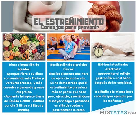 Infografía sobre la prevención del estreñimiento en adultos mayores, destacando dieta, hidratación y ejercicio.