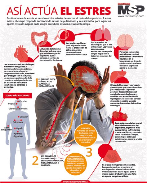 Esquema de las consecuencias del estrés crónico en la salud