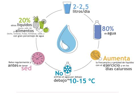 Esquema de las fuentes de hidratación: agua, alimentos (frutas y verduras), y bebidas (infusiones, zumos)