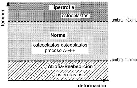 Gráfico del umbral de tensión ósea y respuesta (atrofia, mantenimiento, hipertrofia)