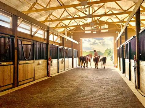 Fotografía temática de un cuidador de caballos realizando tareas de limpieza en un establo