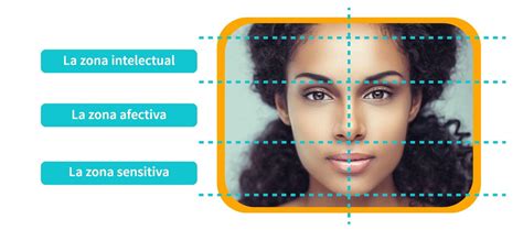 Esquema de líneas guía para el rostro