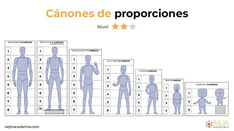 Diagrama de proporciones corporales básicas