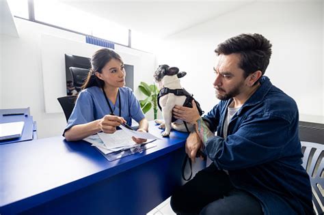 Veterinario explicando a un dueño sobre la dieta de su perro mayor