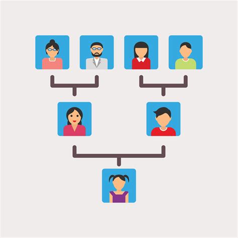 Esquema de estructura familiar y titular de tarjeta