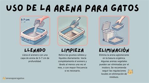 Infografía sobre los diferentes tipos de arena para gatos (aglomerante, sílice, vegetal)