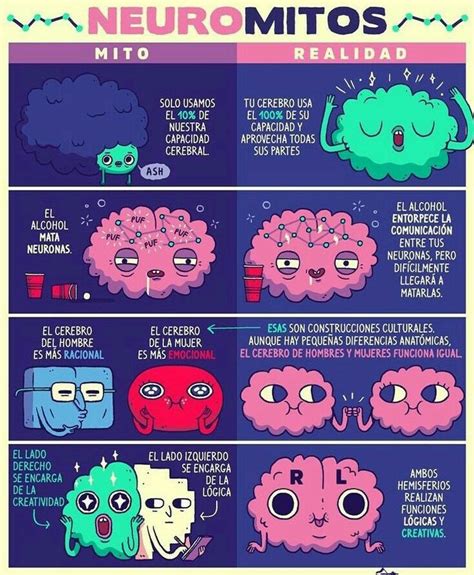 Infografía desmintiendo los 10 neuromitos más comunes sobre el cerebro