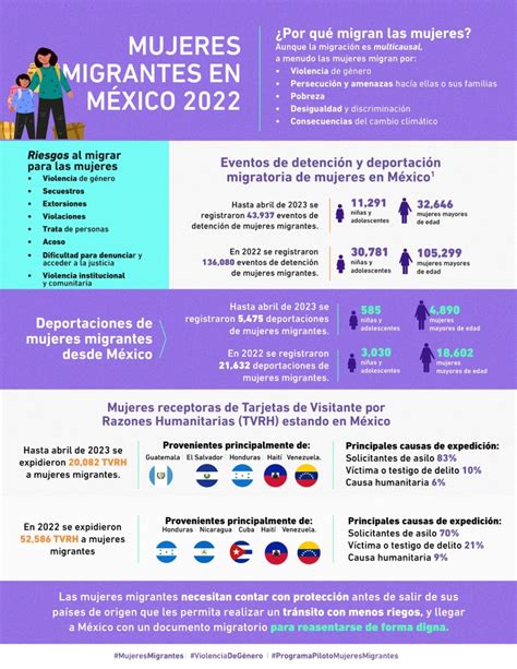Infografía sobre los desafíos que enfrentan las personas mayores en comunidades indígenas
