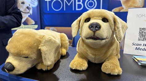 foto de Jennie el perro robótico de Tombot con una persona mayor