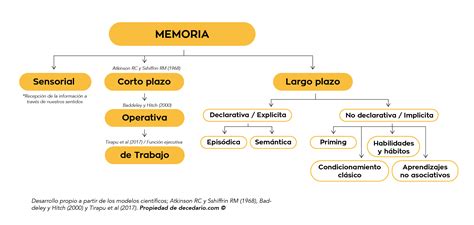 Esquema sobre la importancia de los relatos orales y la memoria histórica de las personas trans en la construcción de una identidad colectiva.