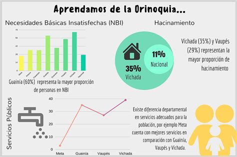 Representación gráfica de las necesidades básicas insatisfechas en una familia vulnerable.