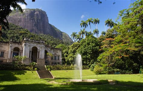Foto panorámica del Jardín Botánico de Río de Janeiro