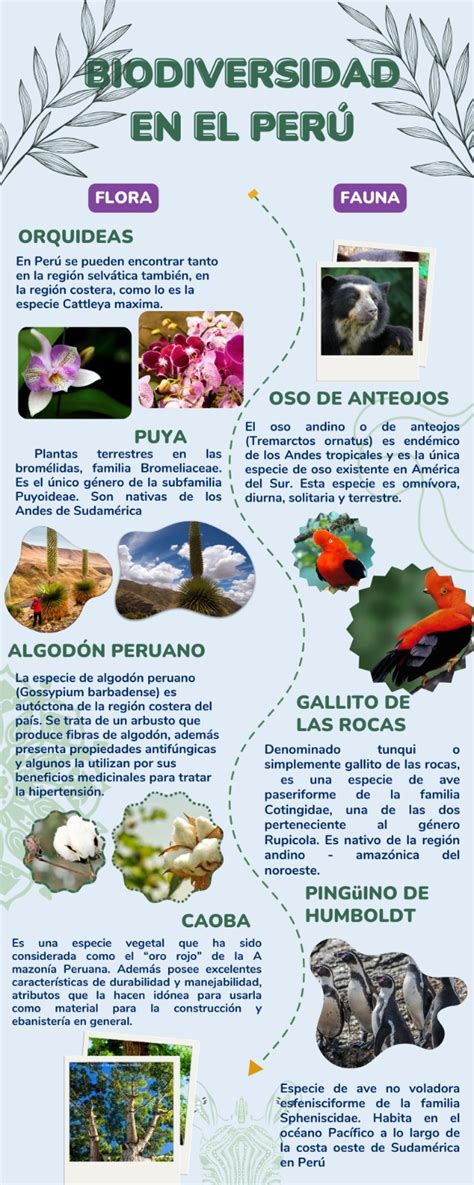 Infografía sobre algunas especies de flora y fauna presentes en el Jardín Botánico