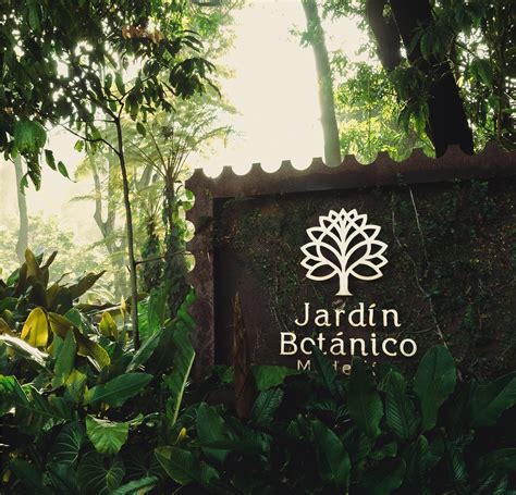 Primer plano de un tití en el Jardín Botánico