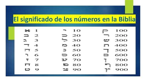 Infografía del simbolismo de los números 12 y 24 en la Biblia