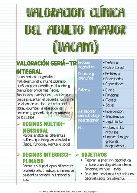 Infografía: Proceso de valoración multidimensional del adulto mayor
