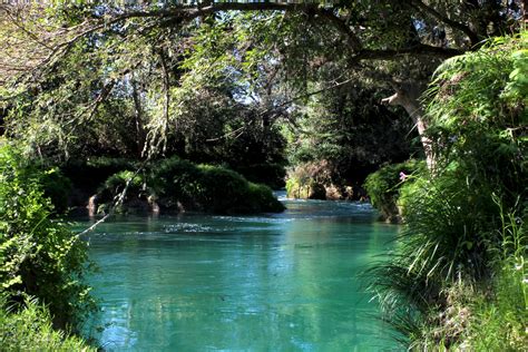 Imagen de un río de aguas cristalinas rodeado de vegetación exuberante en un parque nacional