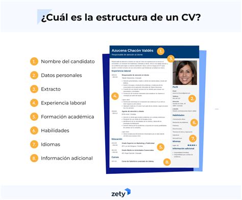 infografía con estructura de CV para ONG